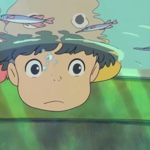 付费图片-测试2